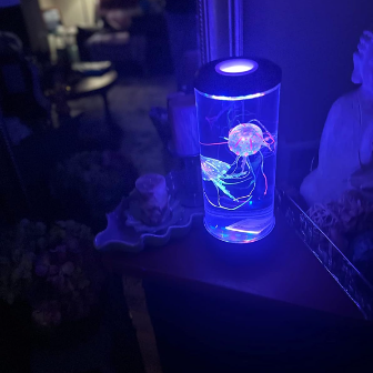 AquaSerene Jellyfish Lamp1