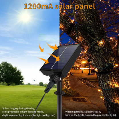 Soar LED Solar String Lights